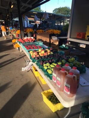 Wolfe Orchard