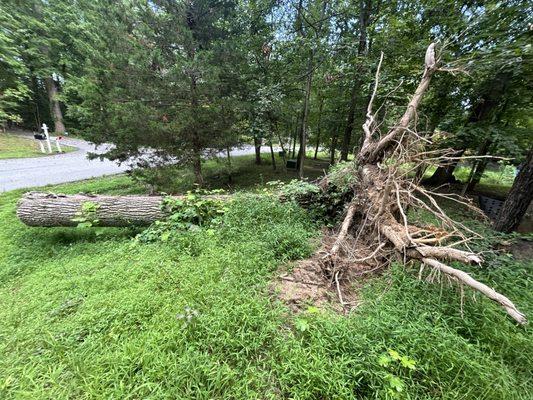 JV Landscape And Tree Services