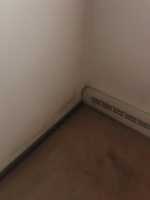 Ellicott Oak Apartments