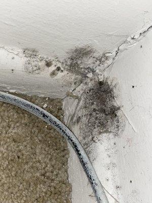 Core 3 Landscaping, Maintenance & Construction Services