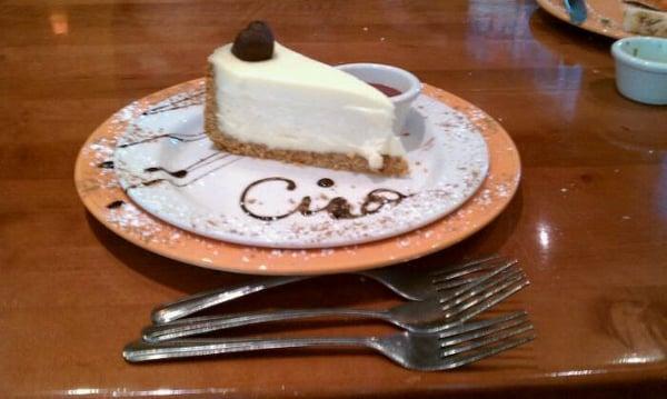 Vanilla Cheesecake. Comes with raspberry sauce, which I have on the side here.