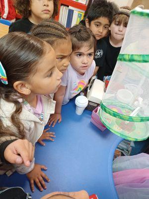 Capstone Quest Academy - Yuma North