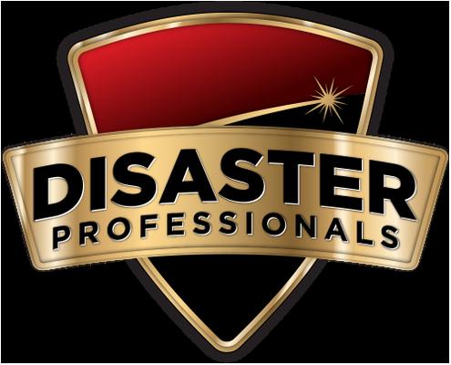 Disaster Professionals