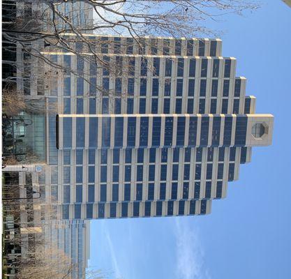 Ivy Goal Education Co