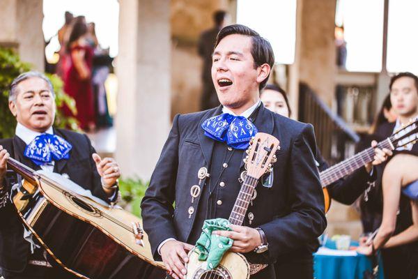 Eleven Stories Photography