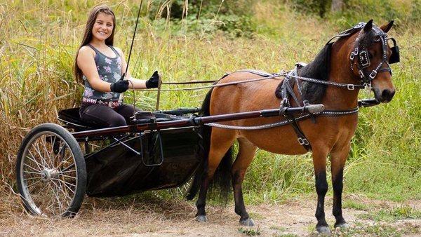 Dubuque Creek Arabians & Lang Acres Ranch
