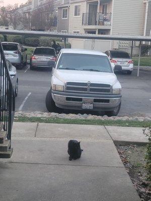 Point Natomas Apartments