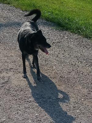 Walter Plumbing Service