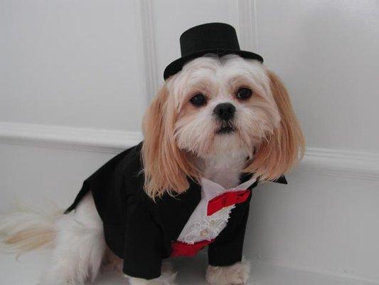 JC's Fun N Sun Pet Products