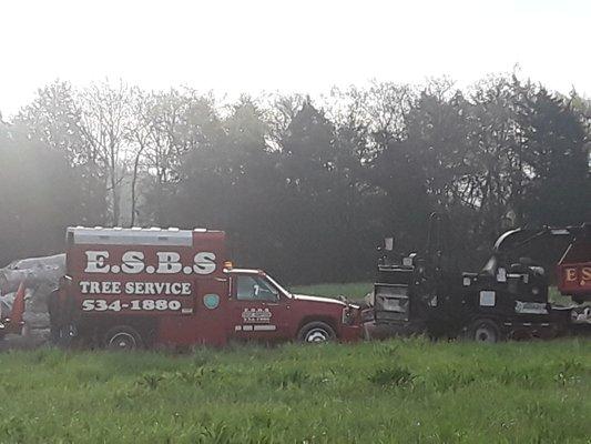 ESBS Tree Services
