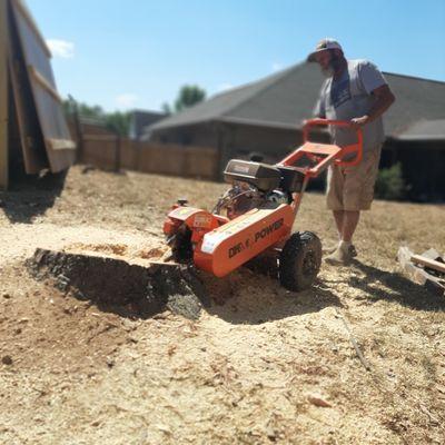On the Grind tree Service & Stump Grinding
