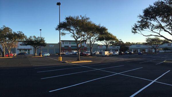 Commercial Trimming and removal