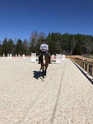 Northeastern Stables