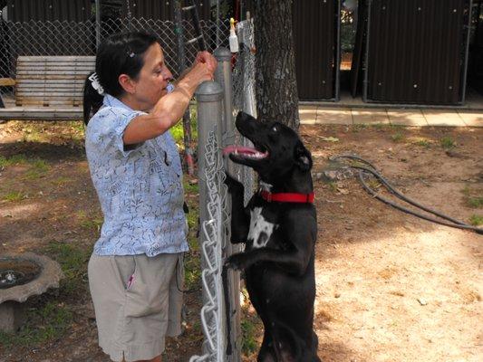 Unique Pets Sitting Service