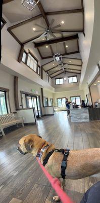 Salem Animal Hospital