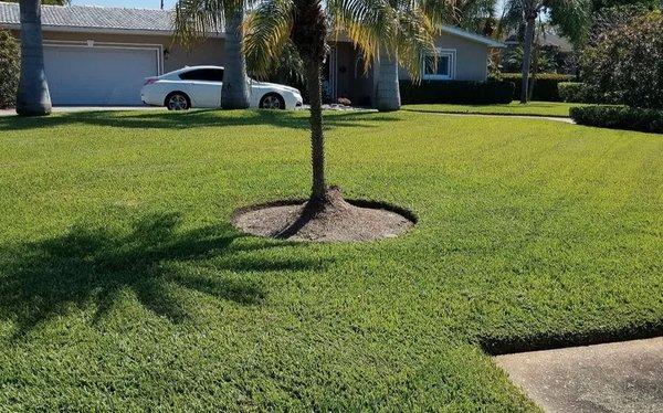 Mow Green Lawn Care and Landscaping