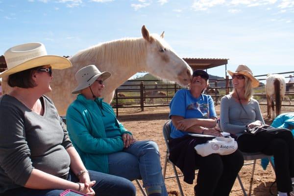 Horse nuzzle. Group in chairs. Arizona 2014