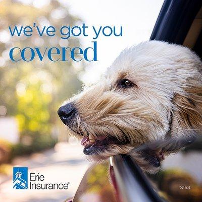 Erie auto insurance provides coverage for your furry friends!