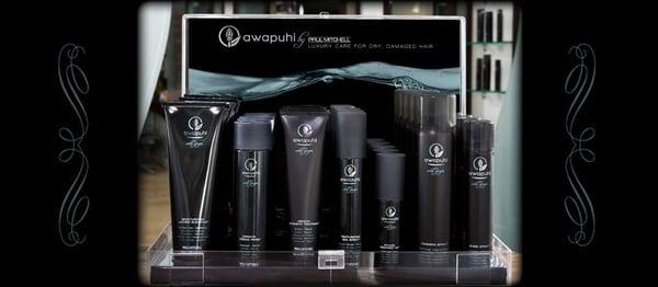 We've just received the new Paul Mitchell Awapuhi Wild Ginger Product line!  Sulfate free products and a great price!