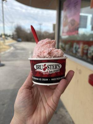 Bruster's Real Ice Cream