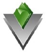 Vincent Capital