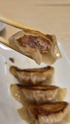 Close-Up of the Gyoza 10-29-2025