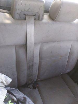 Csa Mobile Wash And Detail