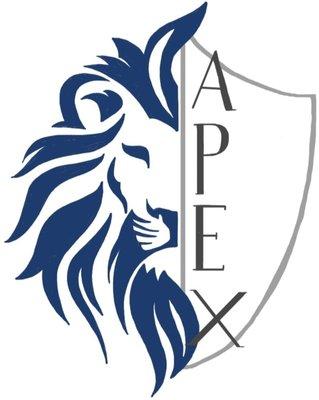 Apex Security Solutions LLC