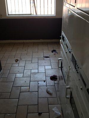 Santa Fe Springs Apartments