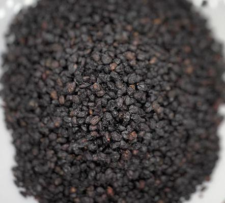 360 Health Essentials