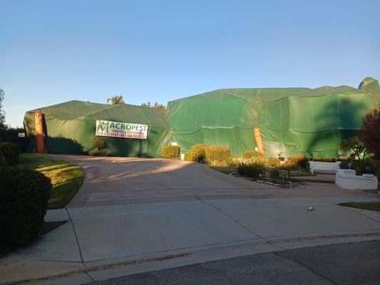 MacroPest Fumigation