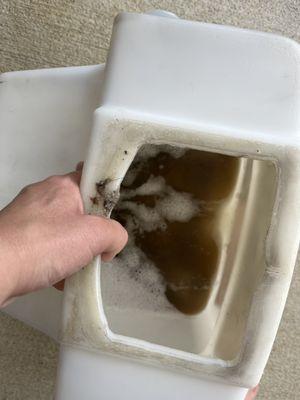 5 Star Carpet cleaning Service