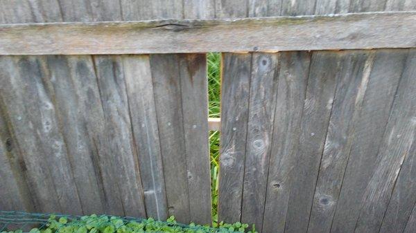 7 year old fence from Classic Fence. No response from company. See review from 9/10/19.