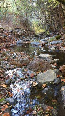 Austin Creek State Recreation Area