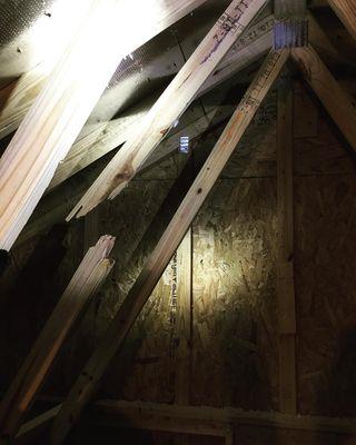 True North Inspection Services