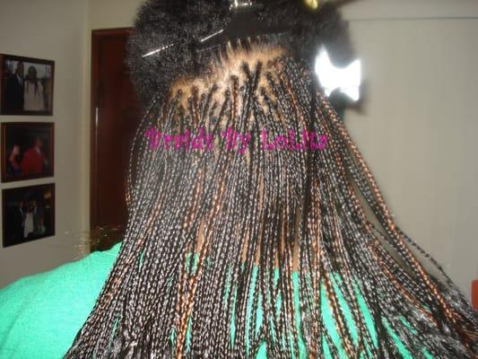 Braids By LoLita