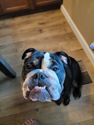 Coastline Feet & Ankle Center