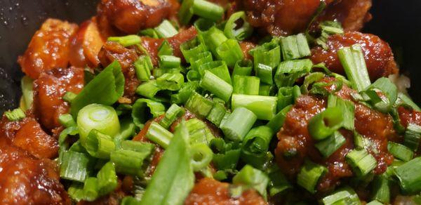 Tomo Noodles & Dumplings