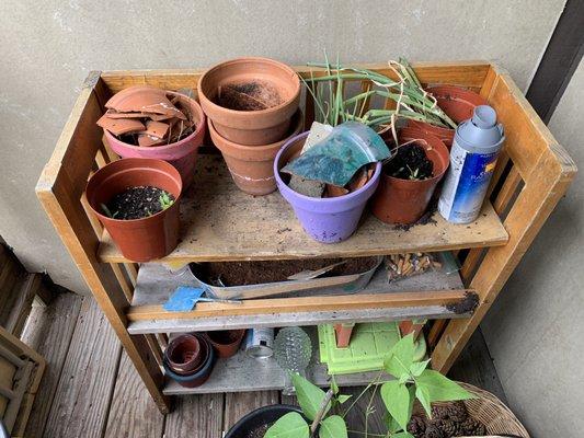 B & D Construction 81