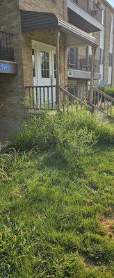 Marcelli's Lawn and Landcare