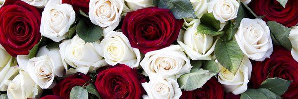 Bills-McGaugh & Hamilton Funeral Home & Crematory