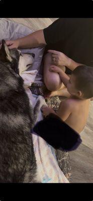 The Ark Animal Hospital