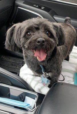 The Grooming Station