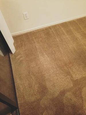 Super Savers Restoration