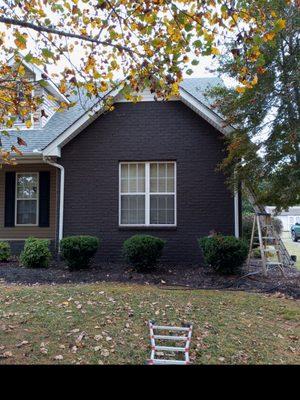 Pointer Painting Service