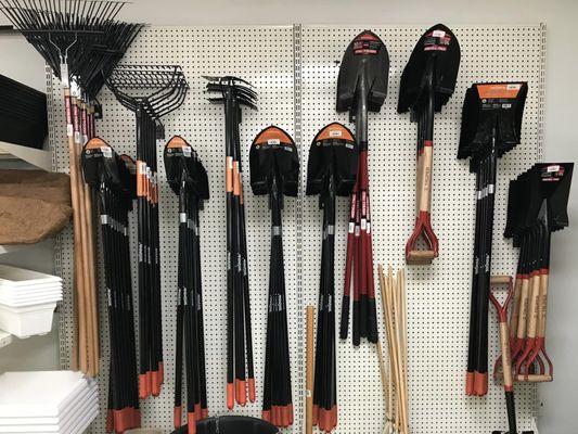 Cheap Sam's Plant Bargains