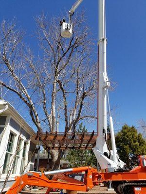 Keeping It Green Tree Care