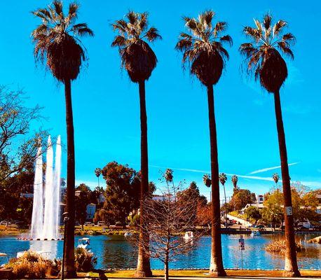 Serene Echo Park Lake where you can peddle swan boats around for fun.