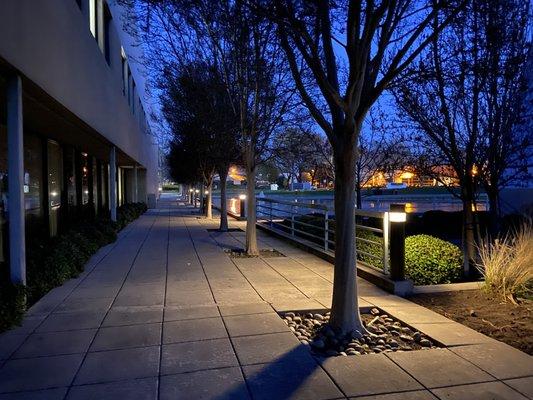 Willis Management Group