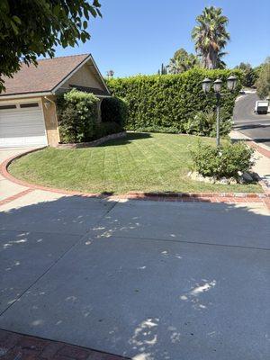 Diego Gardening Service